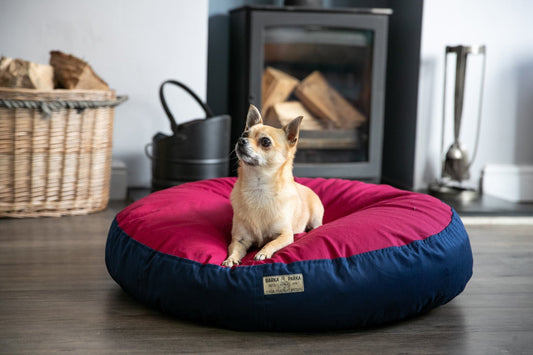 Experience the Comfort and Sustainability of Our Orthopaedic Dog Bed - Barka Parka Dog Beds