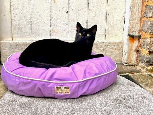 The Best Cat Bed for Comfy Naps - Barka Parka Dog Beds