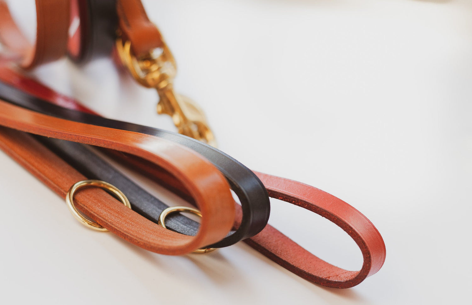Leather Leads/Collars