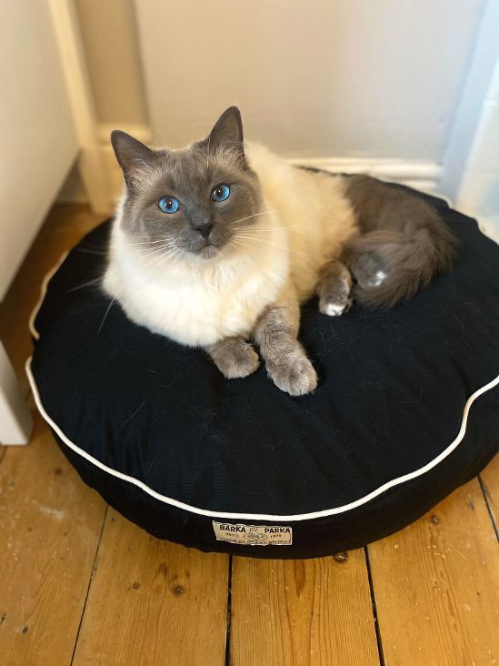 Barka Parka Cat Bed