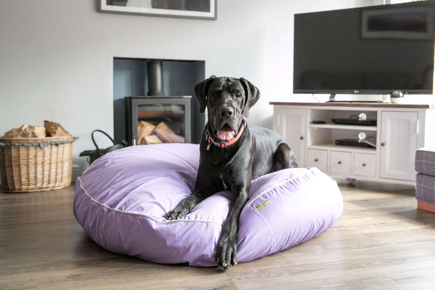 Barka Parka Dog Bed - Lilac and cream piping - Barka Parka Dog Beds