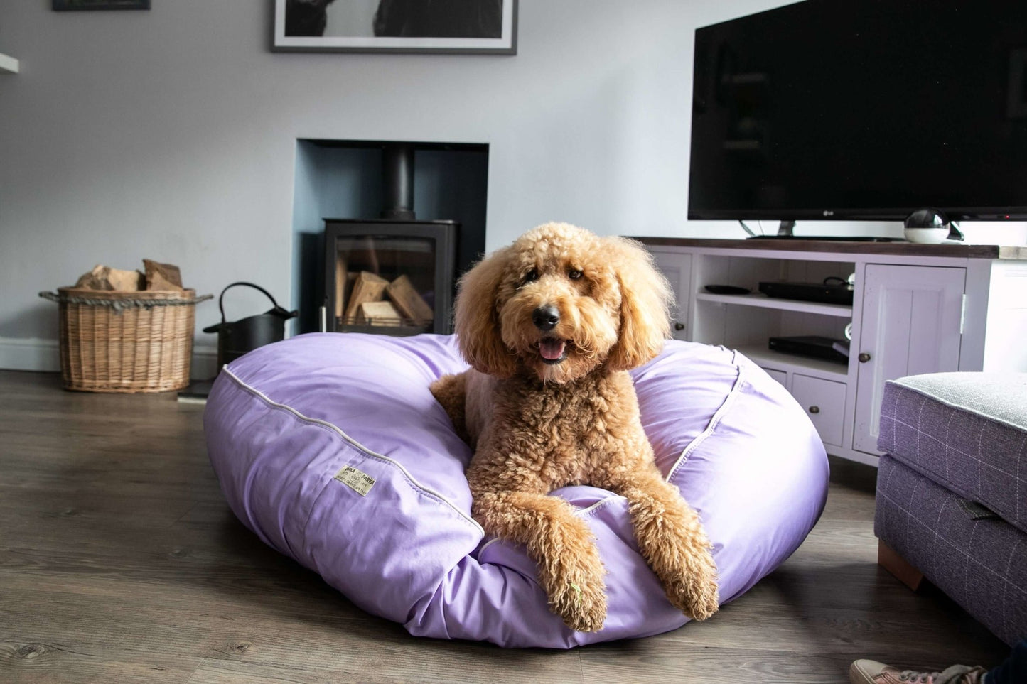 Barka Parka Dog Bed - Lilac and cream piping - Barka Parka Dog Beds