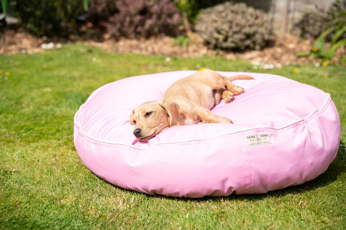Barka Parka Dog Bed - Pink and cream piping - Barka Parka Dog Beds