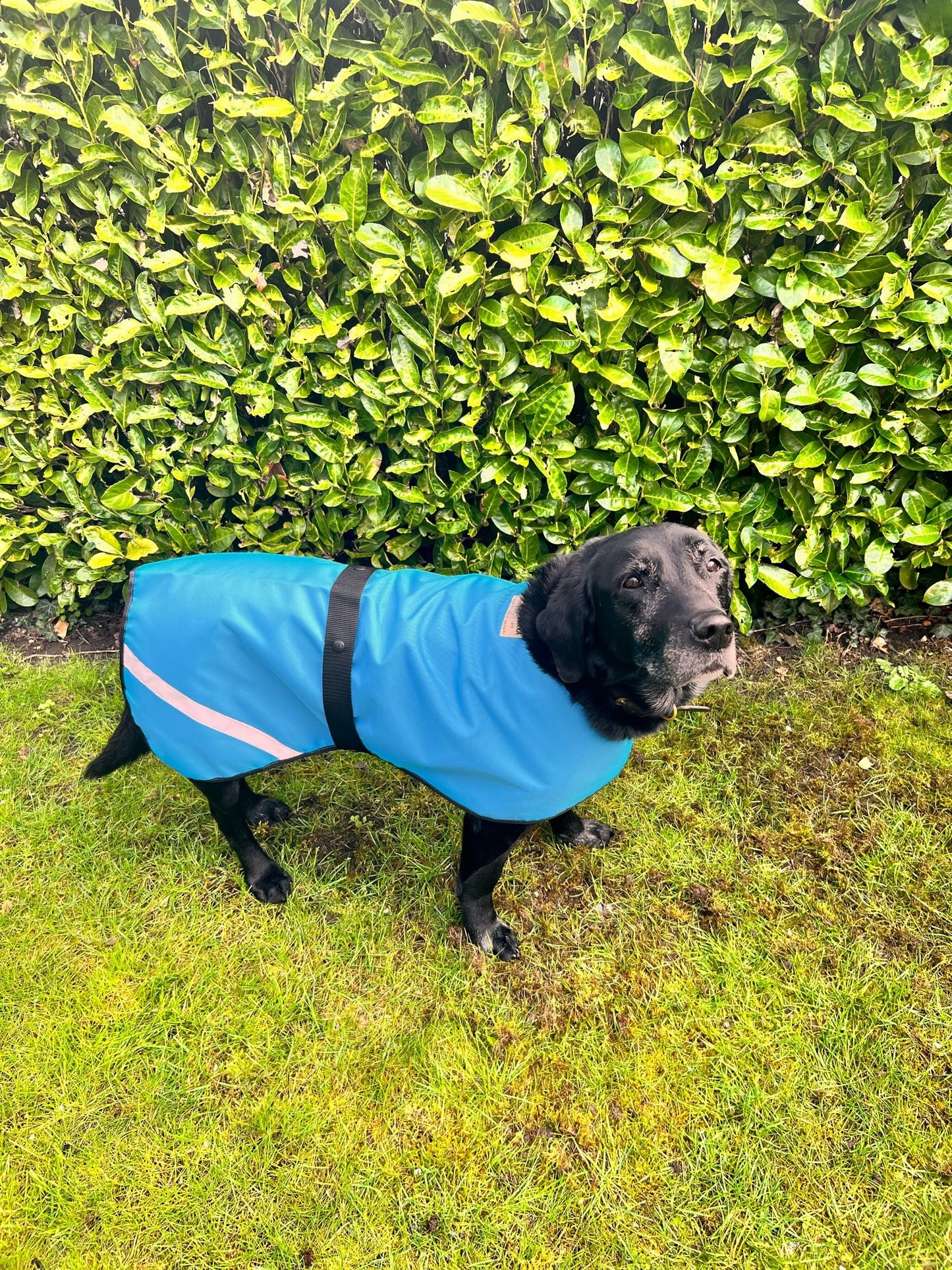 Barka Parka Waterproof Dog Coats - Barka Parka Dog Beds