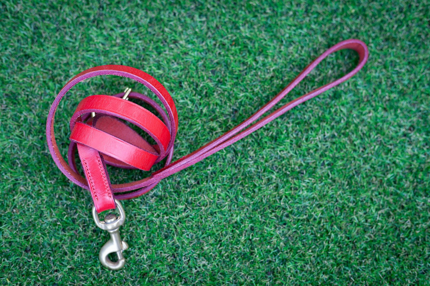 Collar and Lead sets - English bridle leather - Barka Parka Dog Beds