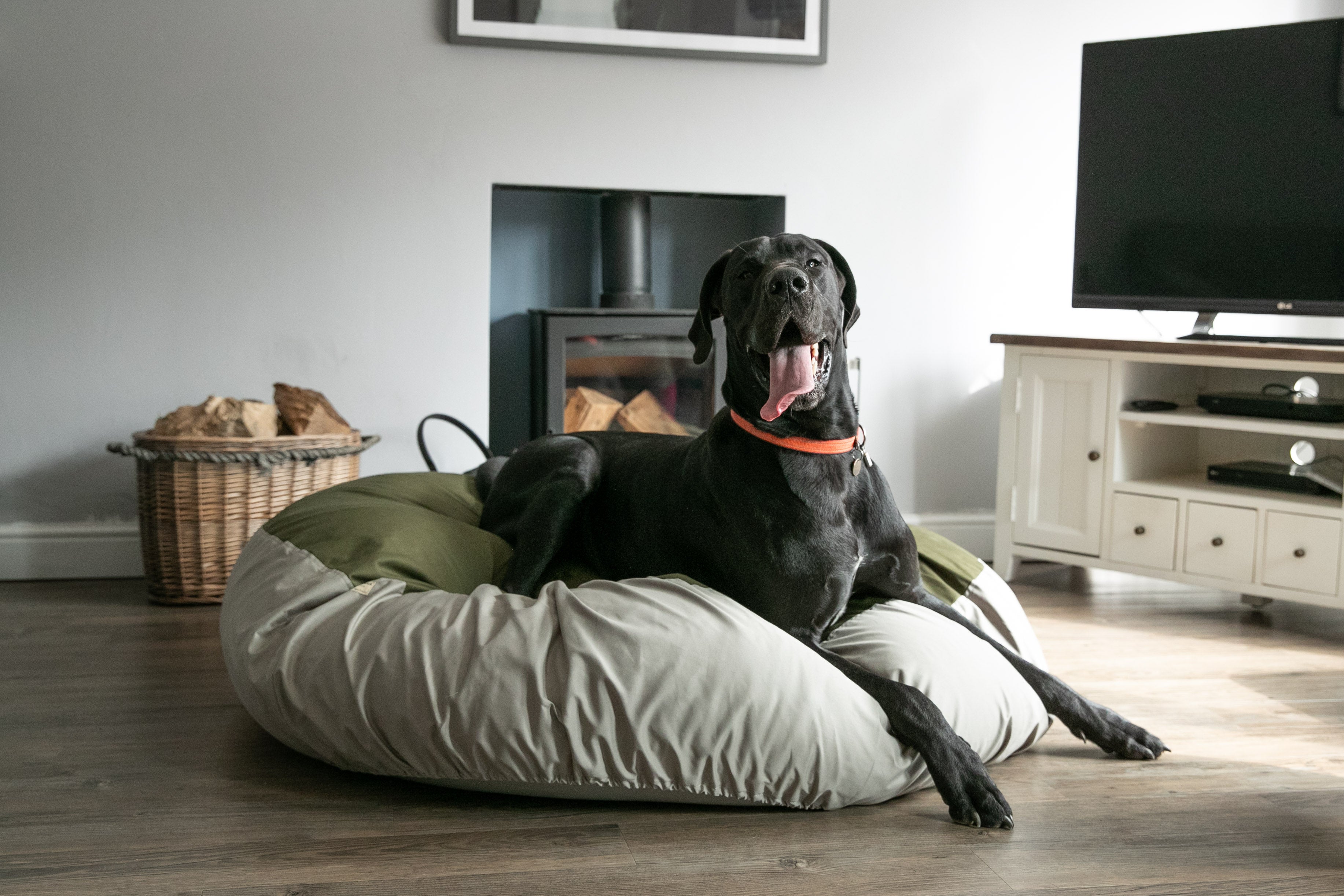 Best dog beds for big dogs best sale