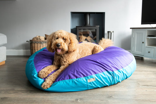 Best Dog Beds for Large Dogs - Barka Parka Dog Beds