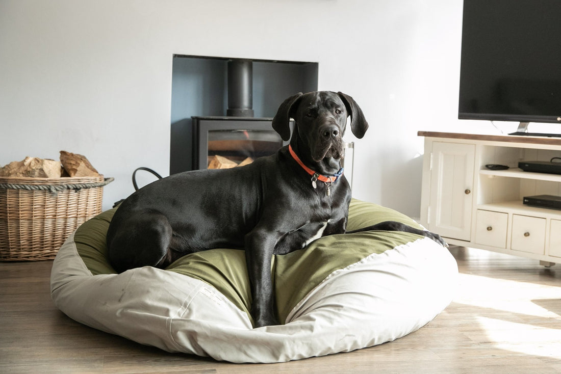 Dog beds for large breed dogs - Barka Parka Dog Beds