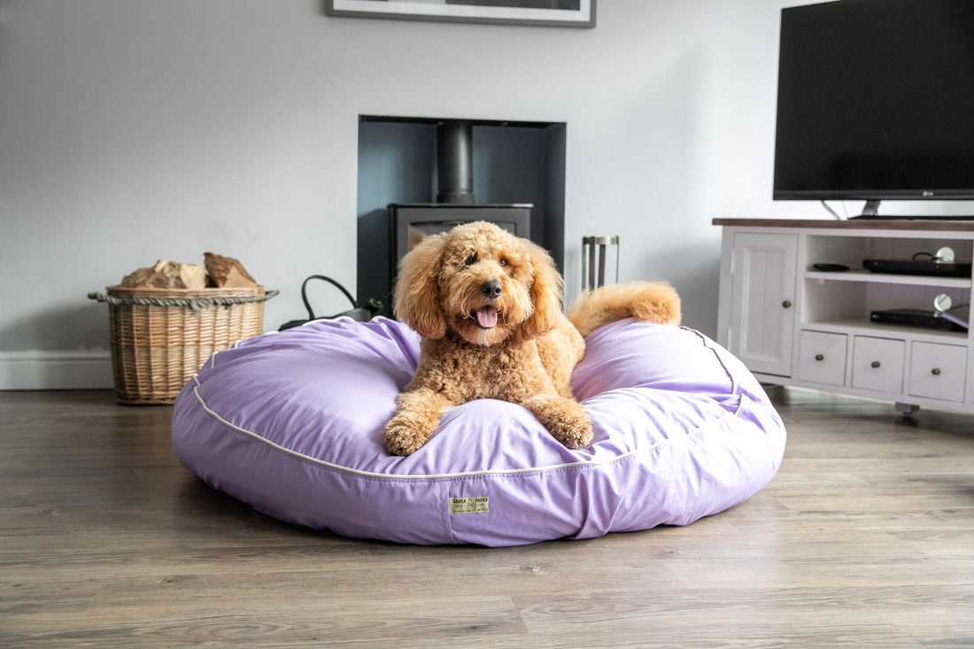How to choose a good dog bed - Barka Parka Dog Beds