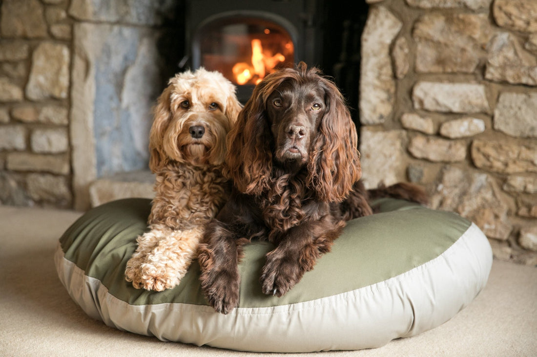 What Dog Bed Material is Best for Durability and Sustainability? - Barka Parka Dog Beds