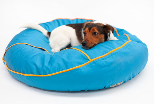 Why choose a bean bag for my dogs bed? - Barka Parka Dog Beds