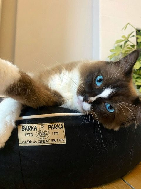 Barka Parka Cat Bed