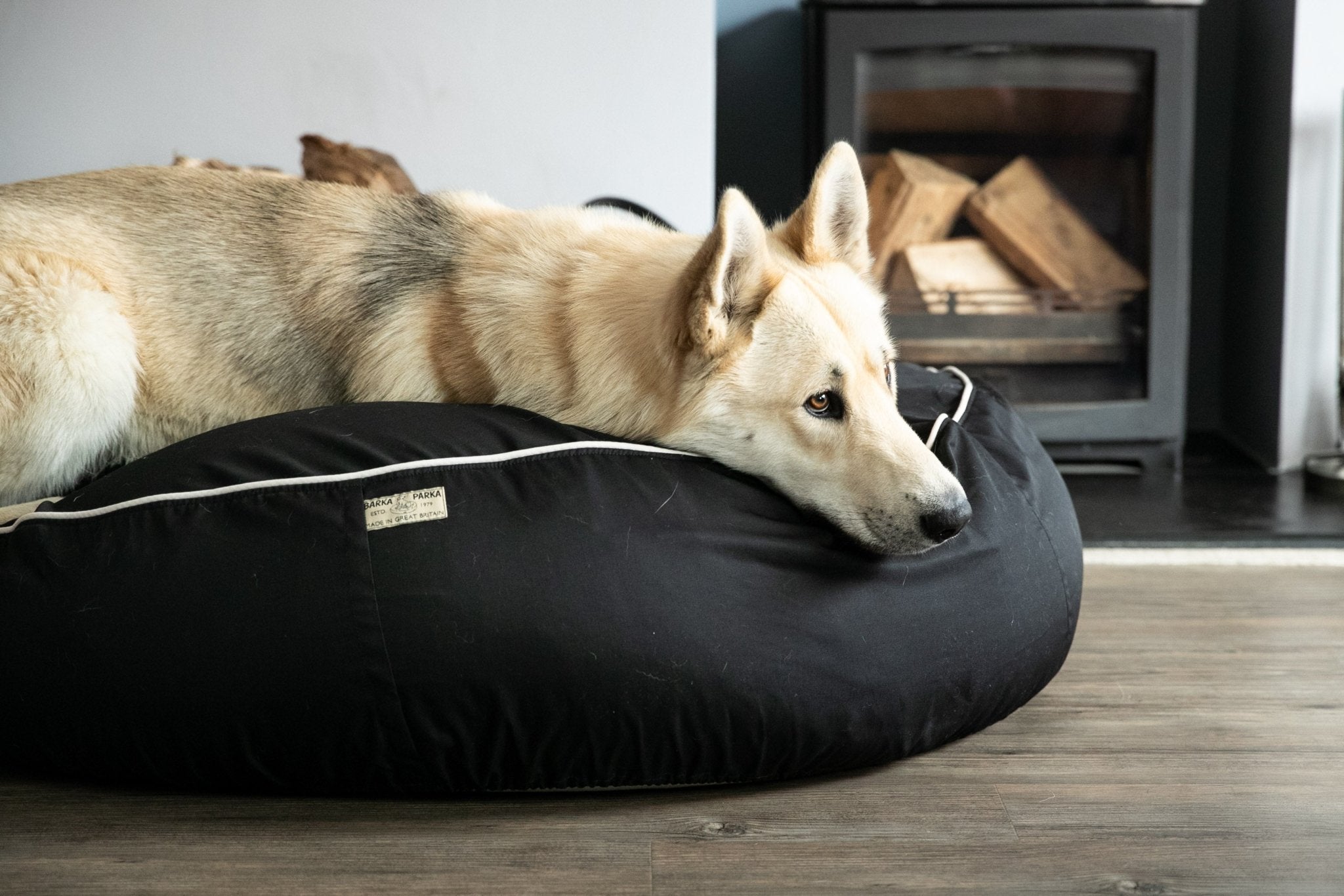 Ruff and barker 2025 dog bean bag