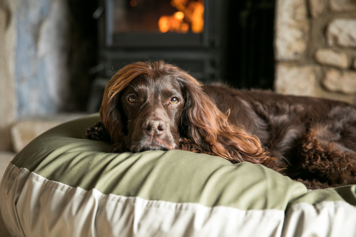 nesting dog bed