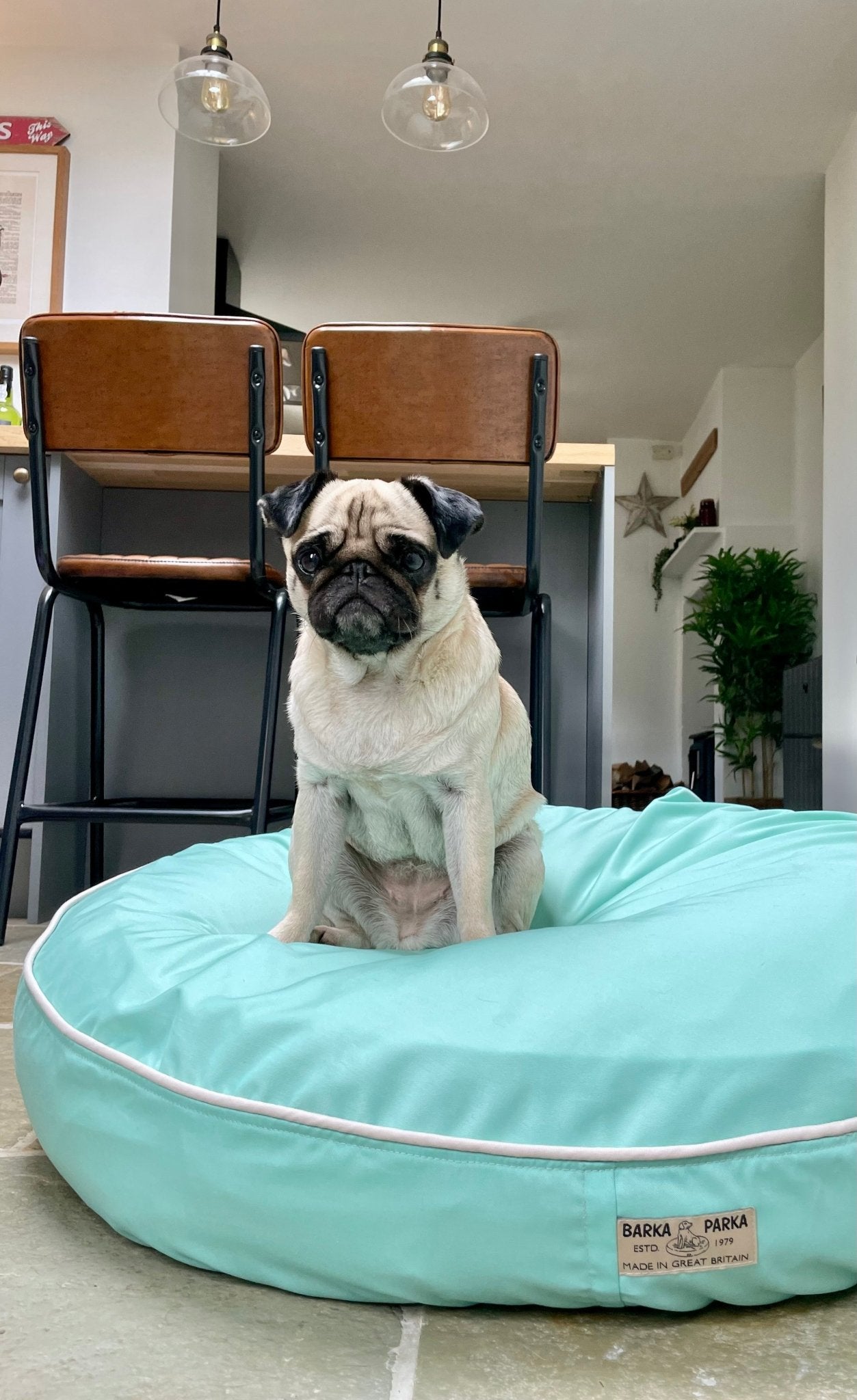 Pug beds 2024