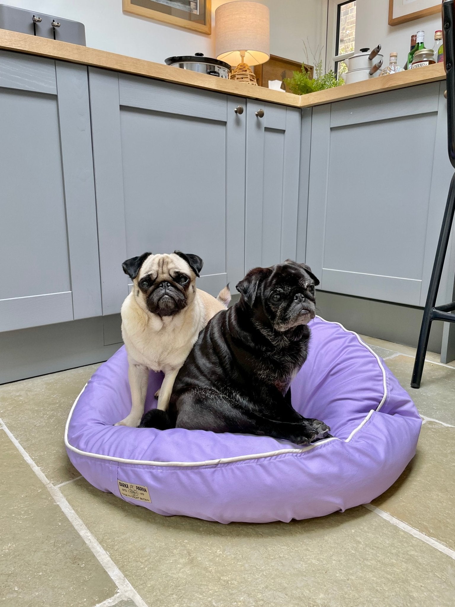 English bulldog clearance bed