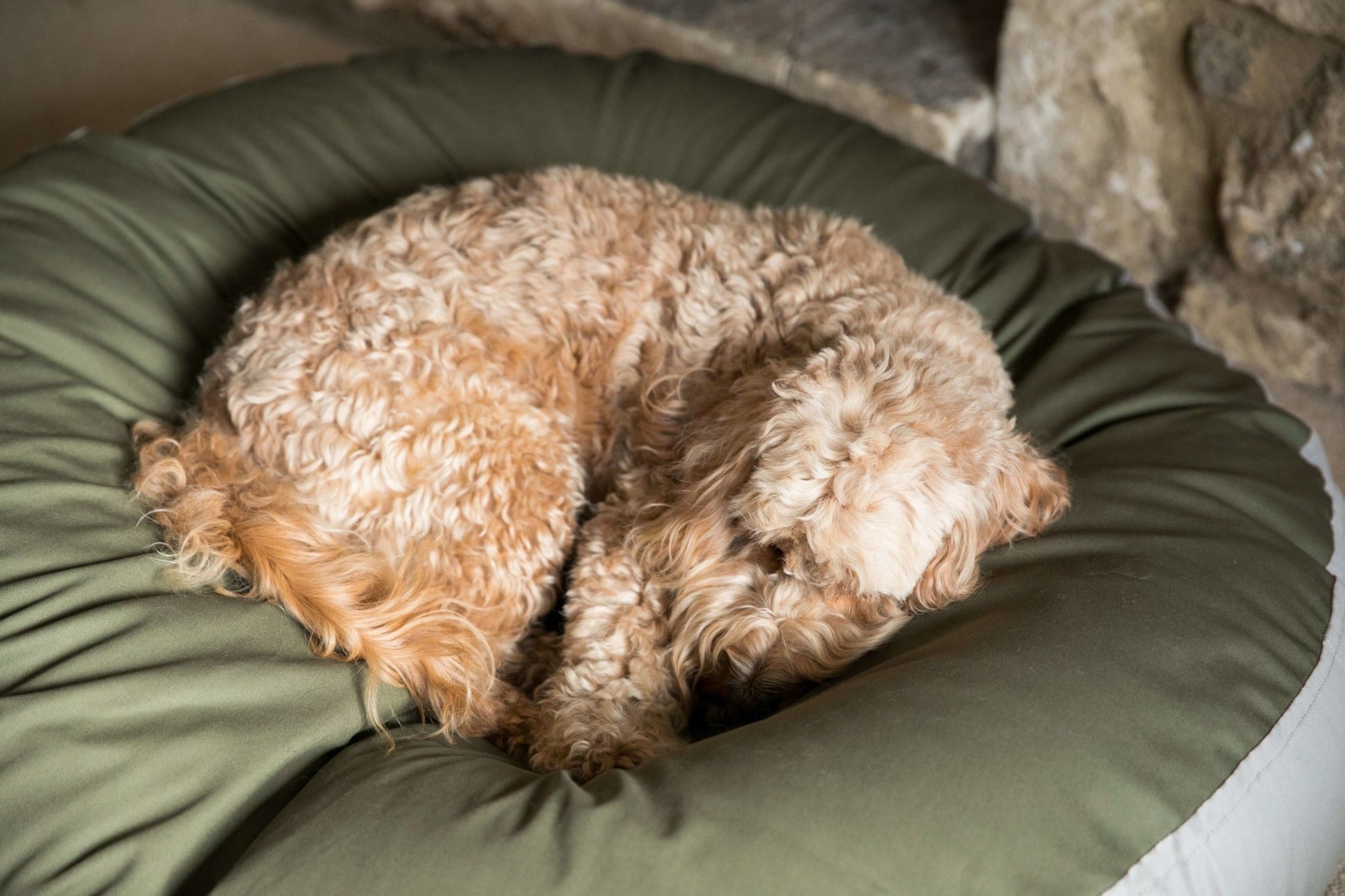 Barka Parka Dog Bed - Olive and sage - Barka Parka Dog Beds