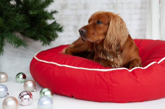 Barka Parka Dog Bed - Red and cream piping - Barka Parka Dog Beds
