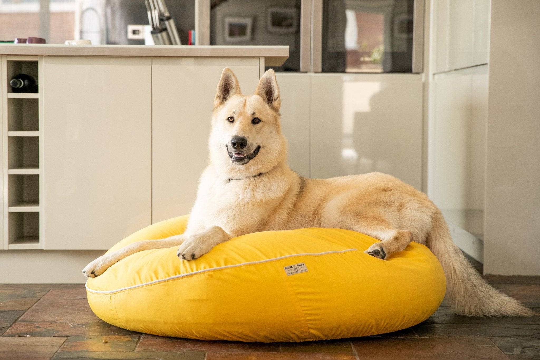 Yellow dog hot sale bed