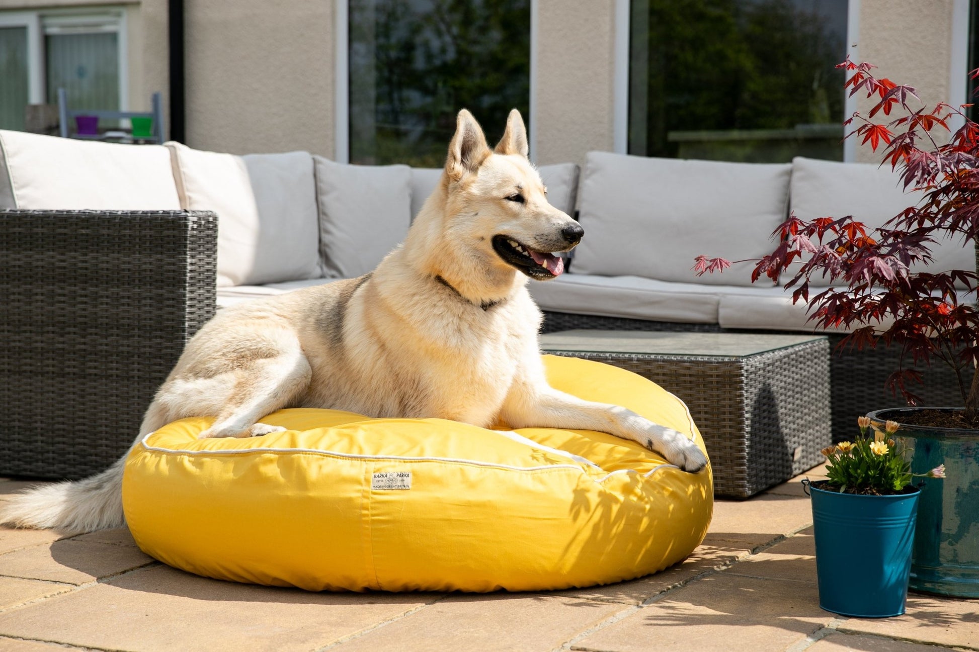 Barka Parka Dog Bed - Yellow and cream piping - Barka Parka Dog Beds