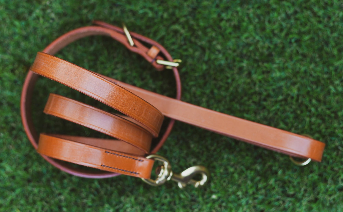 Collar and Lead sets - English bridle leather - Barka Parka Dog Beds
